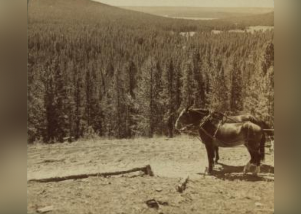 Continental Divide over Shoshone Lake